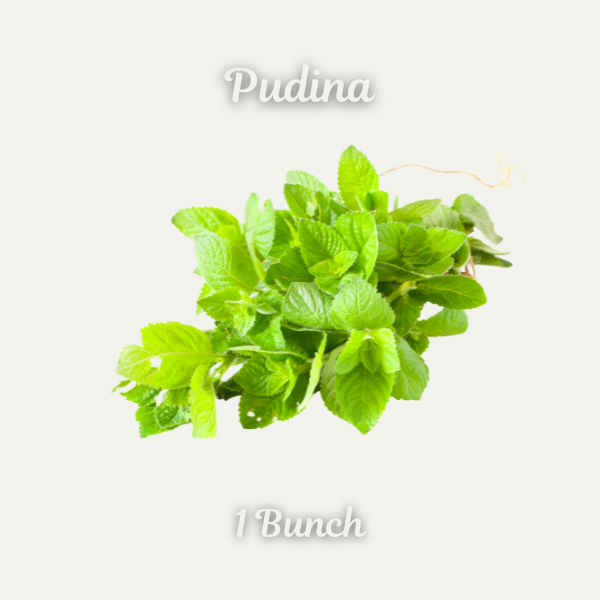 Pudina